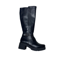 Bota
